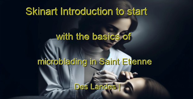 Skinart Introduction to start with the basics of microblading in Saint Etienne Des Landes | MicrobladingTraining | MicrobladingClasses | SkinartTraining-France